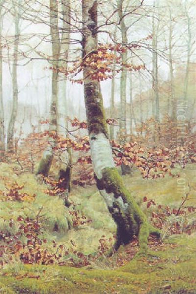 Spatherbst Im Wald Oil Painting by Hans Mortensen Agersnap