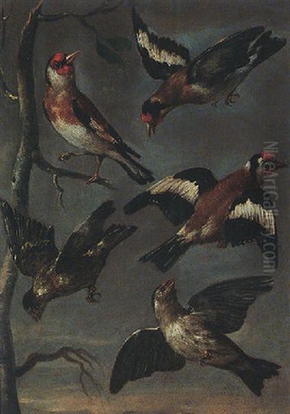Goldcrests And Finches Oil Painting by Christoph Ludwig Agricola