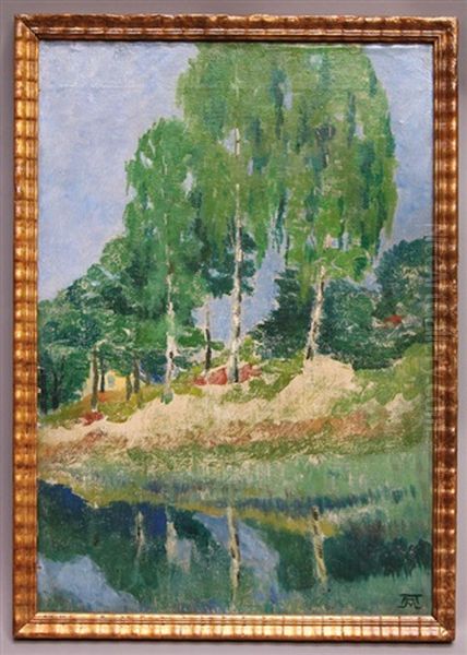 Landschaft Mit Birken Oil Painting by  Albinmueller
