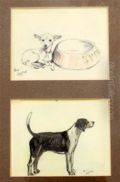 Study Of A Chihuahua Beside A Water Bowl; Study Of A Beagle (2 Works) Oil Painting by Cecil Charles Aldin