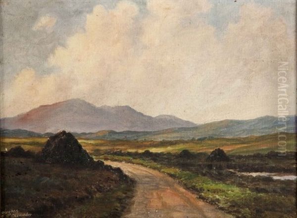 Turf Stacks, West Of Ireland Oil Painting by Douglas Alexander