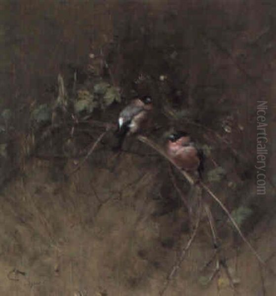 Bullfinches In A Blackberry Thicket Oil Painting by Edwin Alexander