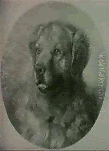 Hundeportrait Oil Painting by Sigmund L' Allemand