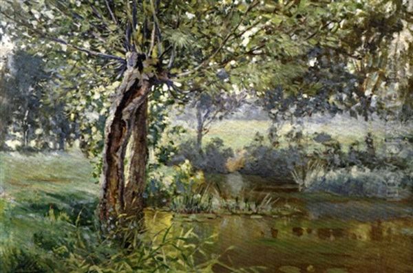 Arbres En Bordure De Riviere Oil Painting by Auguste Allonge
