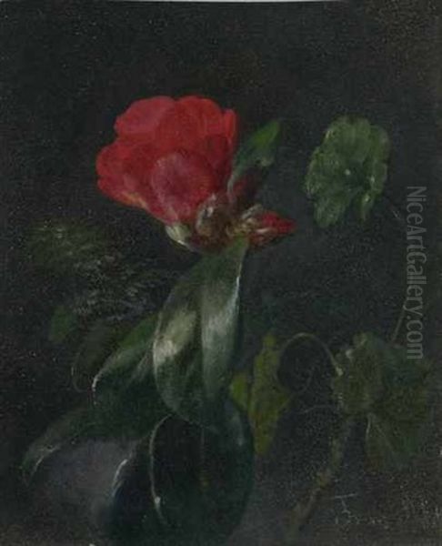 Blumenstilleben Mit Einer Rot Bluhenden Agavenart Oil Painting by Franz Alt