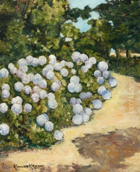 Le Massif D'hortensias Oil Painting by Alexandre Altmann