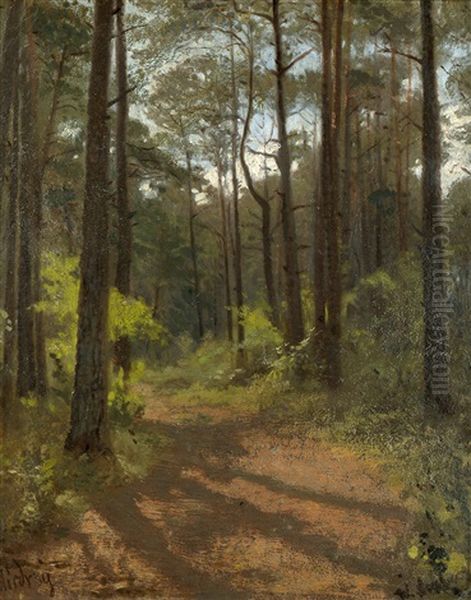Waldinneres Bei Misdroy Im Sommer Oil Painting by Wilhelm Amberg