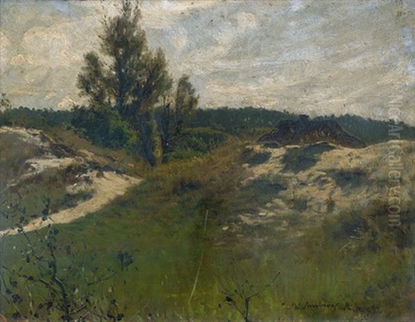 Dunen Bei Misdroy Oil Painting by Wilhelm Amberg