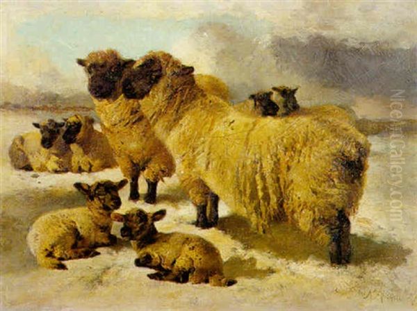 Sheep In The Snow Oil Painting by Richard Ansdell