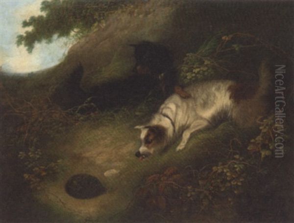 Terriers Looking At A Hedgehog Oil Painting by Edward Armfield