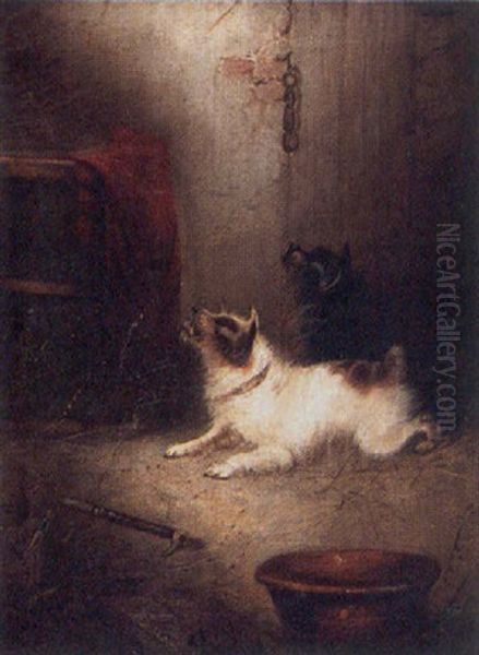 Terriers Alarm Oil Painting by Edward Armfield