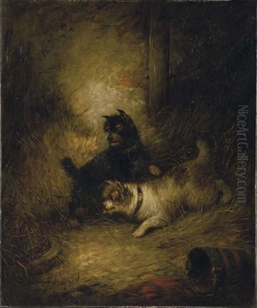 Due Cani Oil Painting by George Armfield