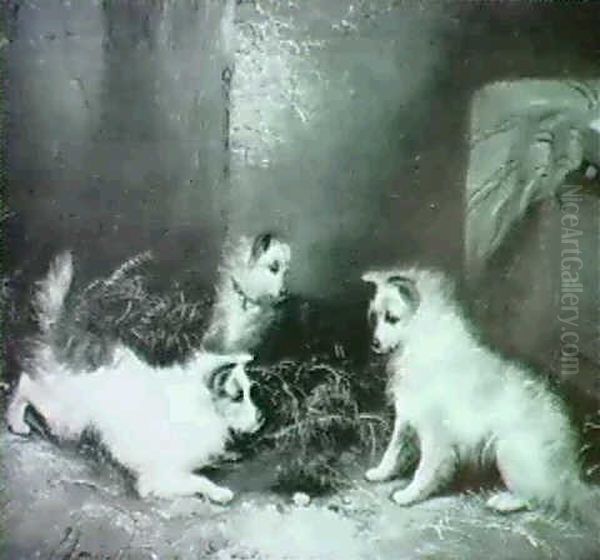 Three Dogs Ratting Oil Painting by George Armfield