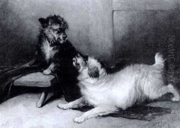 Playful Terriers Oil Painting by George Armfield