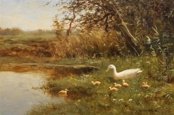 Moedereend Met Kuikentjes Oil Painting by David Adolph Constant Artz