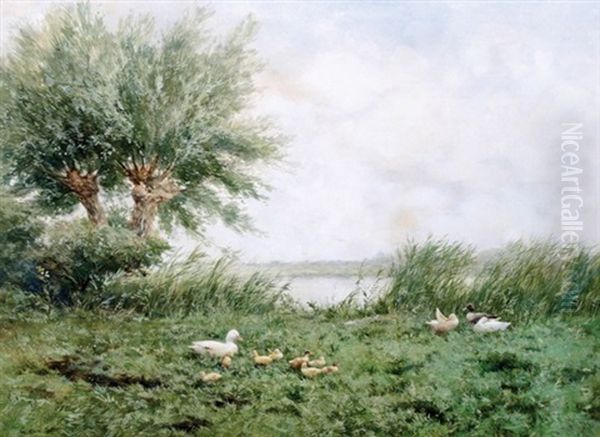 Ducks And Ducklings Oil Painting by David Adolph Constant Artz