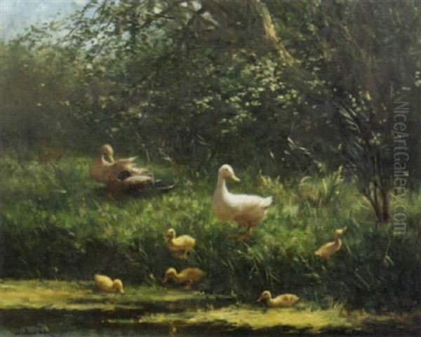 Ducks And Ducklings On A Sunlit Meadow Oil Painting by David Adolph Constant Artz