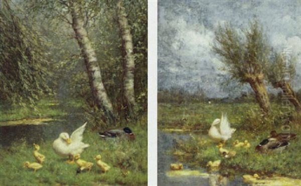 Ducks And Ducklings On River Banks Oil Painting by David Adolph Constant Artz