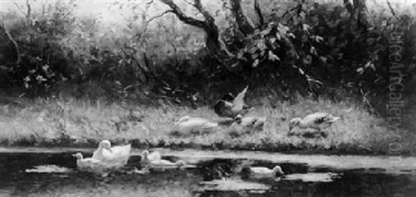 Duck With Ducklings On A Riverbank Oil Painting by David Adolph Constant Artz