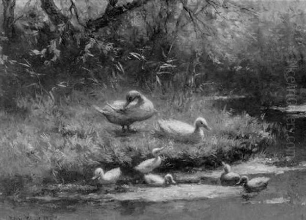 Ducks And Ducklings Oil Painting by David Adolph Constant Artz
