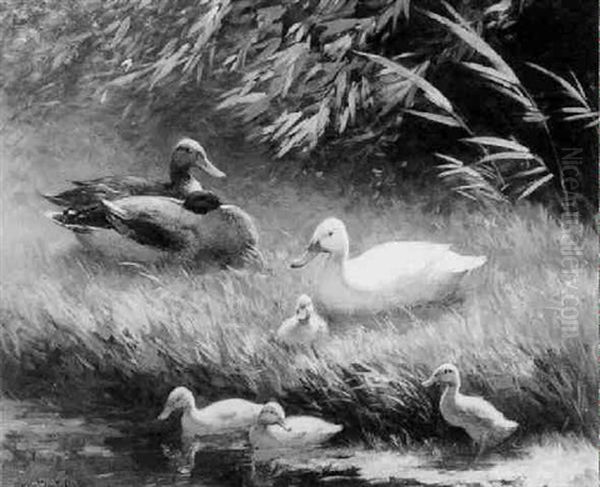 Duck With Ducklings On A Riverbank Oil Painting by David Adolph Constant Artz