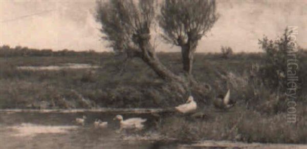 Eendenfamilie Bij De Waterkant Oil Painting by David Adolph Constant Artz