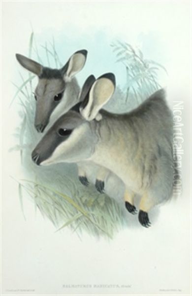 Portrait Of The Honorable Henry Gullett Mla Oil Painting by Julian Ashton