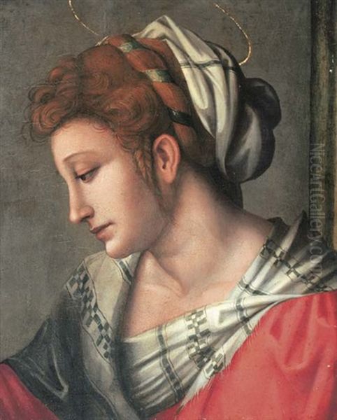 A Female Saint, Bust-length, In A Red Dress With A White Headdress Oil Painting by Francesco Ubertini Bacchiacca II