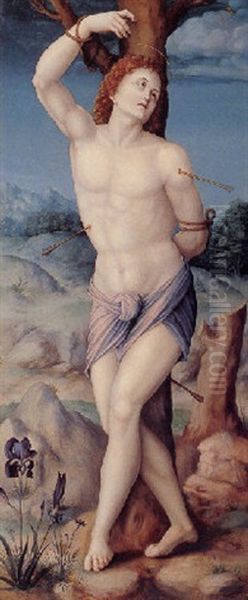 Saint Sebastian Oil Painting by Francesco Ubertini Bacchiacca II