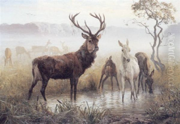 En Kronhjort Med Sine Hinder. Skumring Oil Painting by Otto Bache
