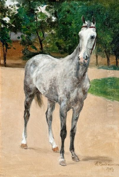 The Gray Horse Oil Painting by Hugo Backmansson