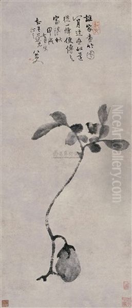 Vegetables Oil Painting by Bada Shanren