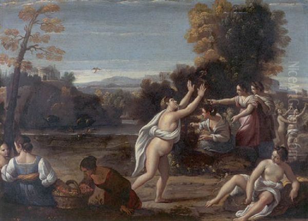 Diana And Her Nymphs Catching Birds Oil Painting by Sisto Badalocchio