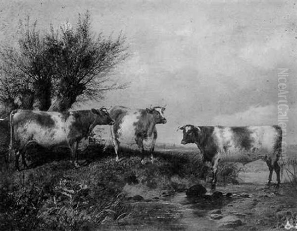 Cattle By A Stream Oil Painting by James Walsham Baldock