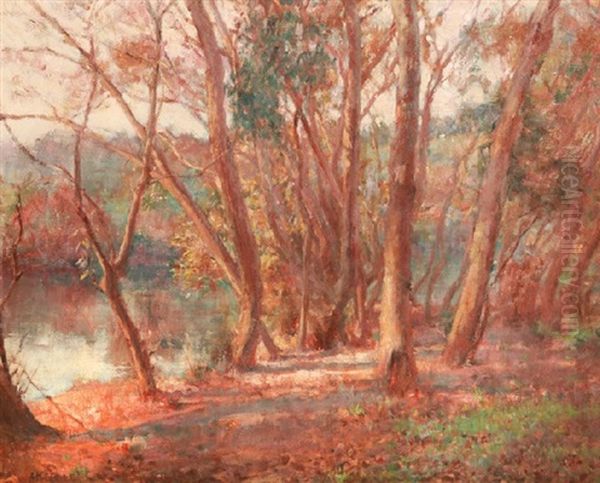 River Gums In The Early Morning Light Oil Painting by Alice Marian Ellen Bale