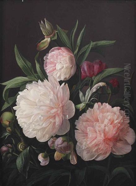 Blooming Peonies Oil Painting by Carl Vilhelm Balsgaard