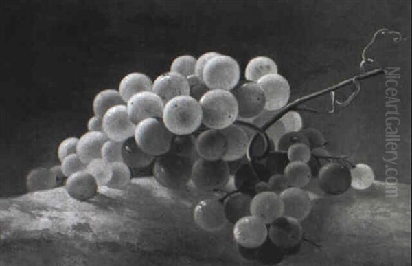 En Klase Grinne Vindruer Oil Painting by Carl Vilhelm Balsgaard