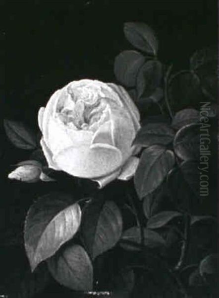 Lyserod Rose Oil Painting by Carl Vilhelm Balsgaard