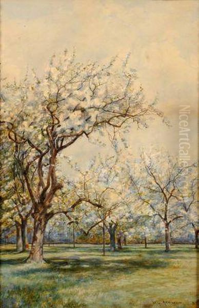 In The Cherry Orchard Oil Painting by William Grylls Addison