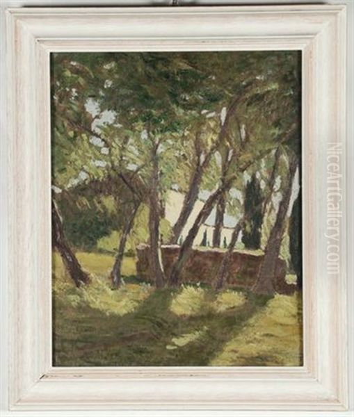 Paesaggio Con Casa Oil Painting by Dario Bardinero