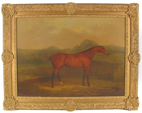 Race Horse Standing Before A Fence Oil Painting by James Barenger the Younger