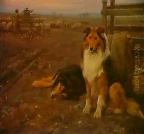 Sheep Dogs Oil Painting by Wright Barker