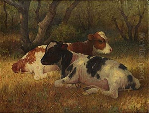 Vilande Kalvar Oil Painting by William Barr