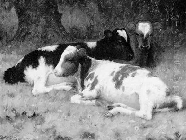 Calves Resting Oil Painting by William Barr