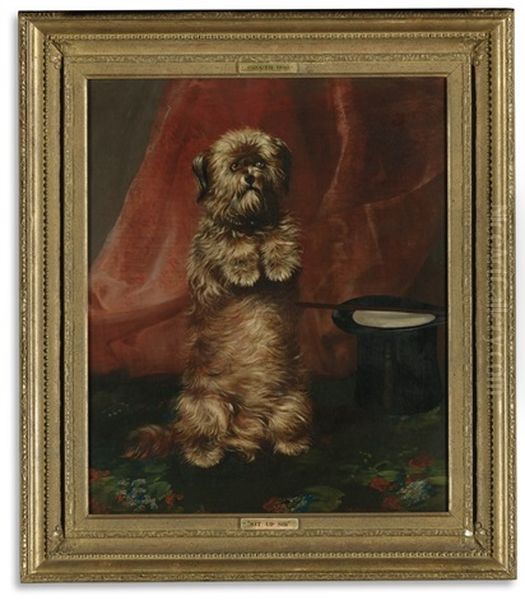 Sit Up Sir: Ginger Oil Painting by Henry Barraud