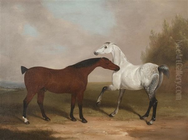 Two Horses Nipping Oil Painting by William Barraud