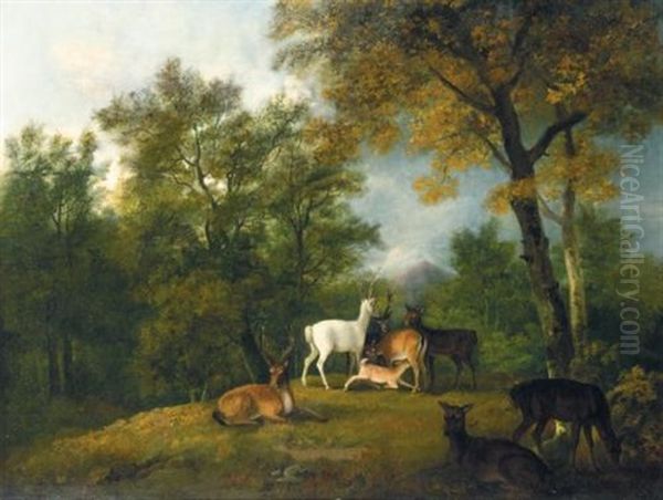 Red Deer Grazing Beneath Trees (collab.w/sawrey Gilpin) Oil Painting by George Barret