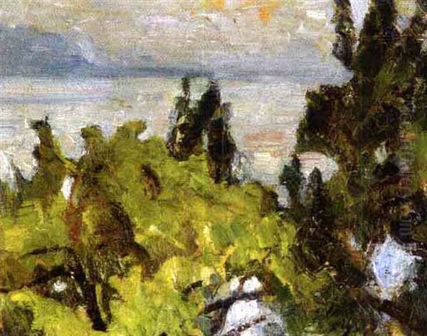Vue Sur Le Lac Oil Painting by Paul Basilius Barth