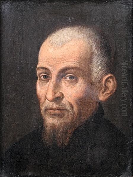 Portrait Of A Bearded Gentleman In A Black Tunic Oil Painting by Jacopo Bassano (Jacopo da Ponte)