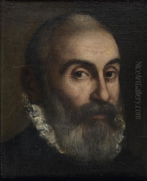 Portrait D'homme Oil Painting by Leandro Bassano